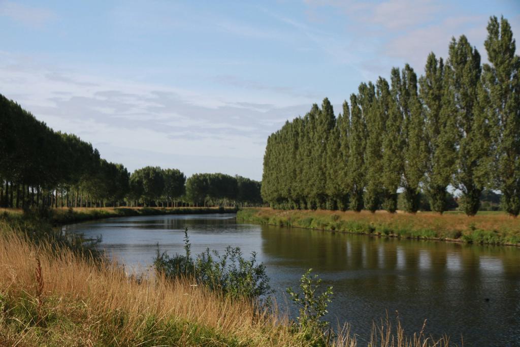 Terre D'o