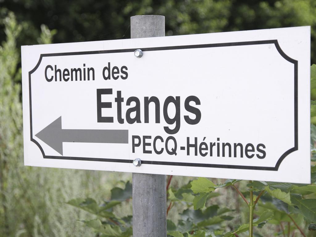 Terre D'o